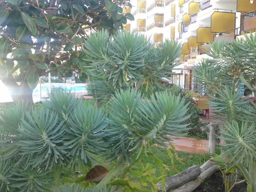 Apartamentos Europa Плайя-дель-Инглес Экстерьер фото